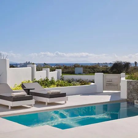 Maestro Naxos Villa Maragkas