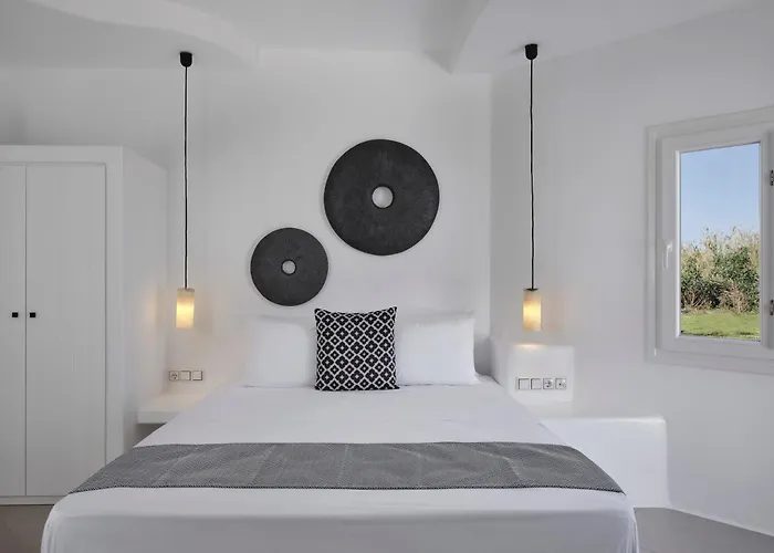 Maestro Naxos Maragkas