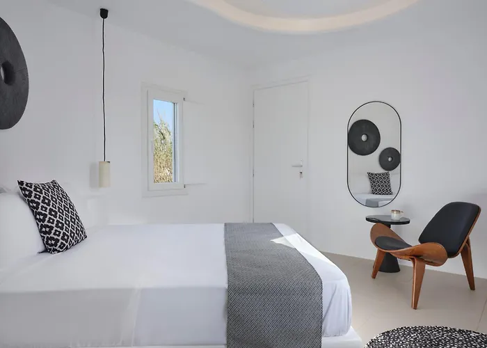 Villa Maestro Naxos Maragkas