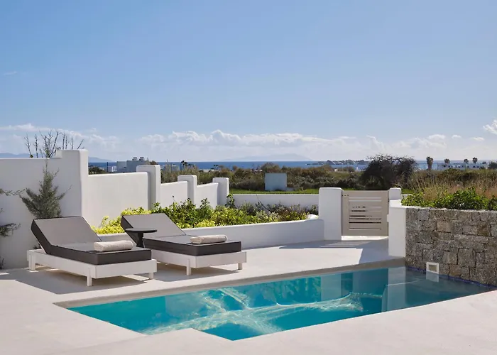 Maestro Naxos Villa Maragkas